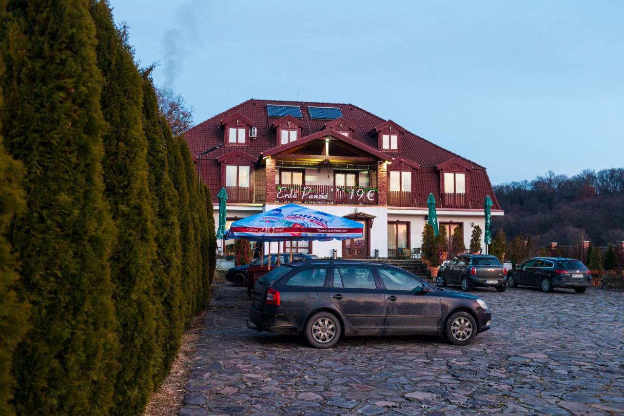 Pensiunea Si Restaurant Erdo Odorheiu Secuiesc Exteriér fotografie